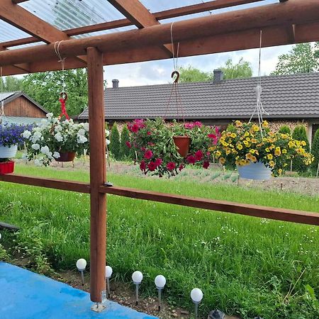 Agroturystyka Przy Rajskim Sadzie Nowy Berezów Extérieur photo