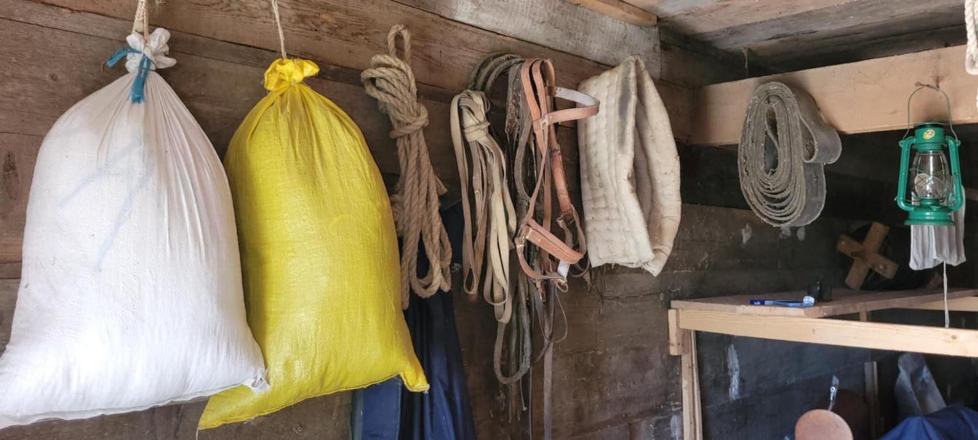 Agroturystyka Przy Rajskim Sadzie Nowy Berezów Extérieur photo
